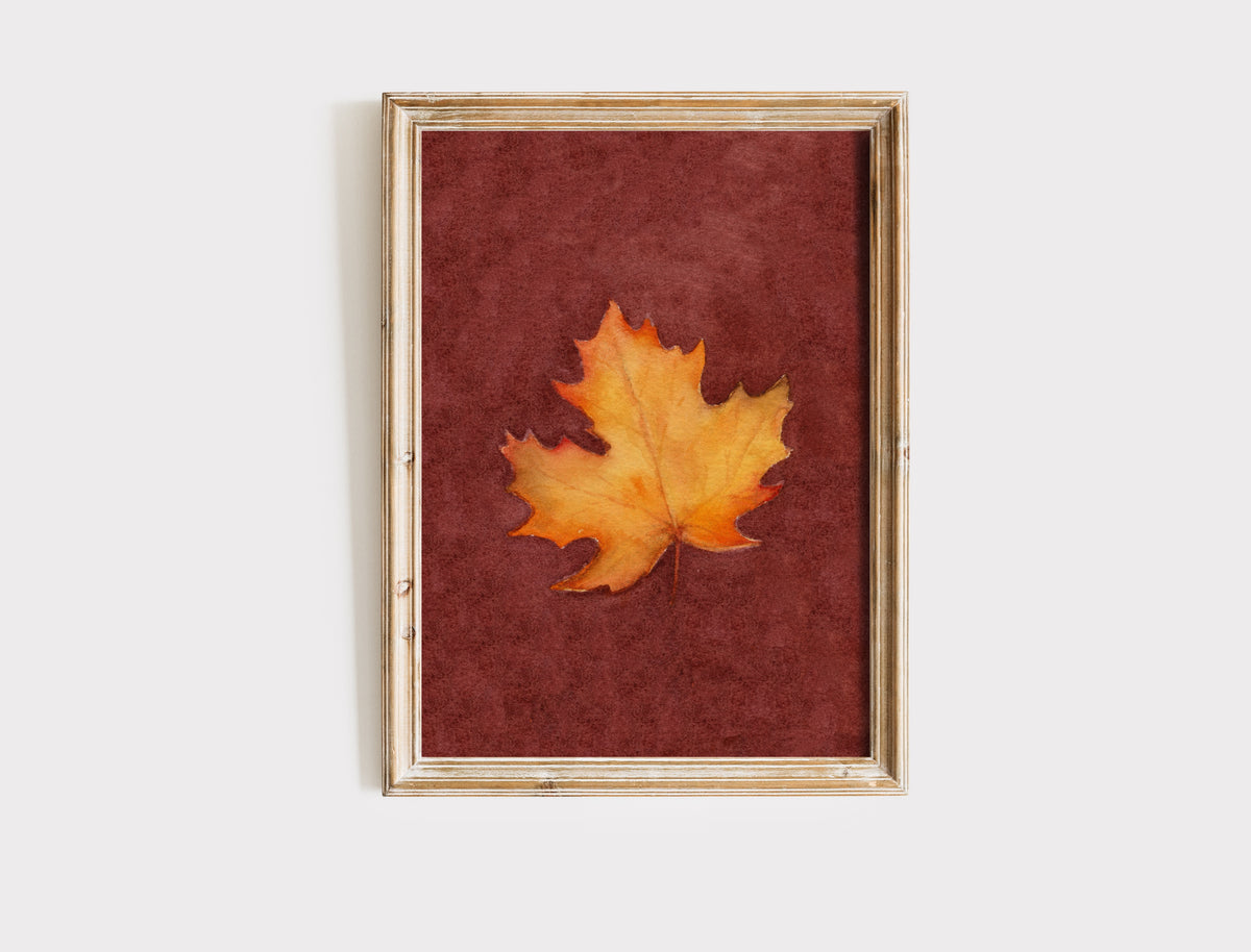 "Maple" - Art Print