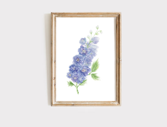 Delphinium Flower - Fine Art Print