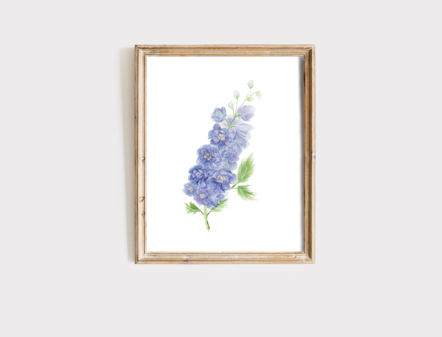 Delphinium Flower - Fine Art Print