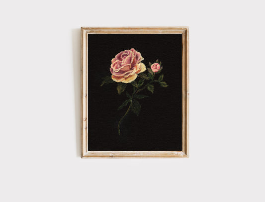 Rose - Fine Art Print