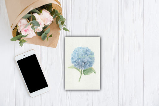 Hydrangea #4 Art Print