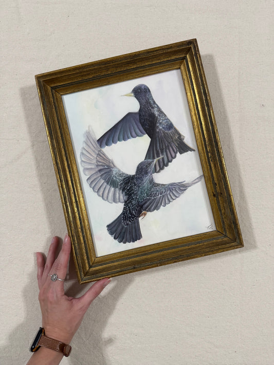 "Ballet of the Birds"