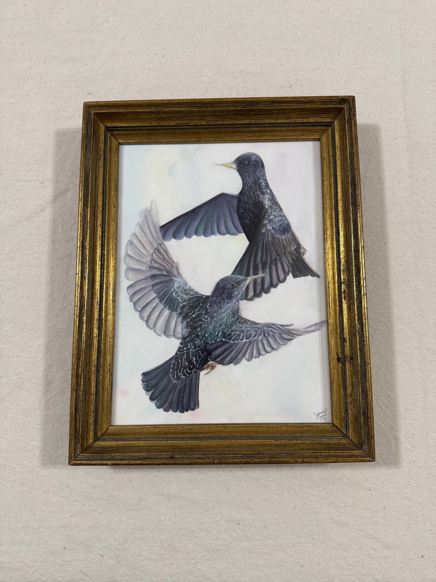 "Ballet of the Birds"