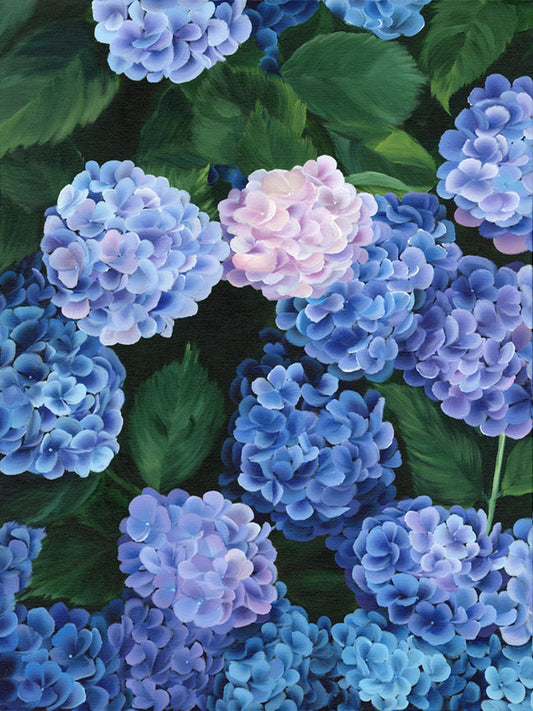 "After the Light Listened" - Hydrangea Art Print
