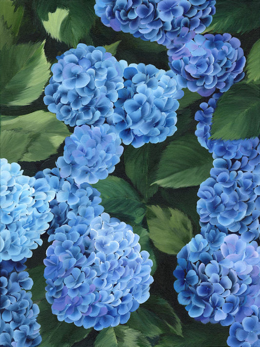 "Before the Day Spoke" - Hydrangea Art Print