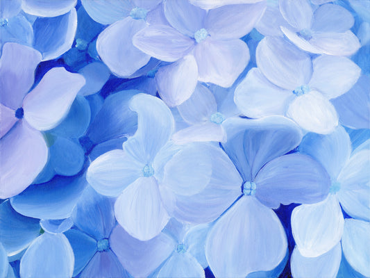 "Bright as Being Seen" - Hydrangea Art Print