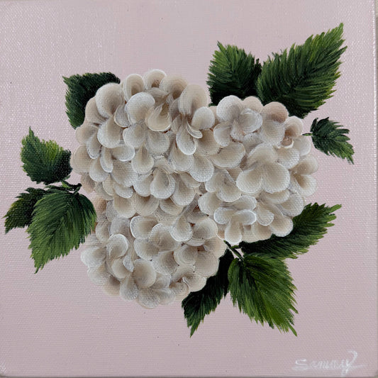 A square canvas painting featuring a cluster of white hydrangea flowers with green leaves on a soft pink background, displayed against a neutral textured beige wall.