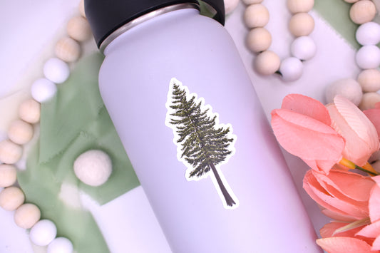 Evergreen Sticker, 3x1.37in