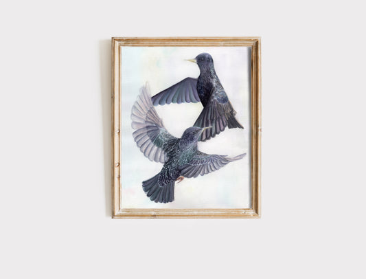 "Ballet of the Birds" - Art Print