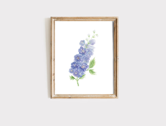 Delphinium Flower - Fine Art Print