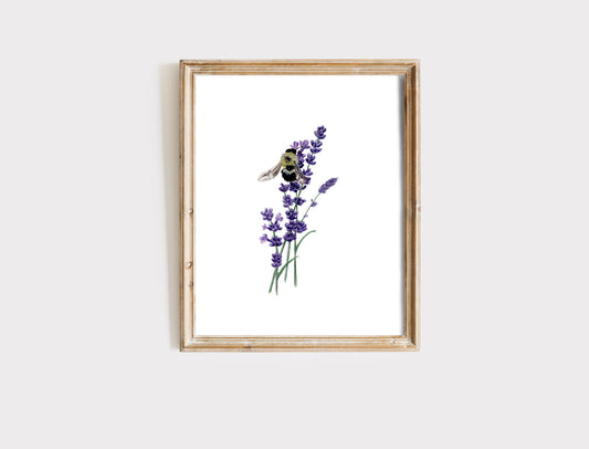 Lavender Bee - Fine Art Print