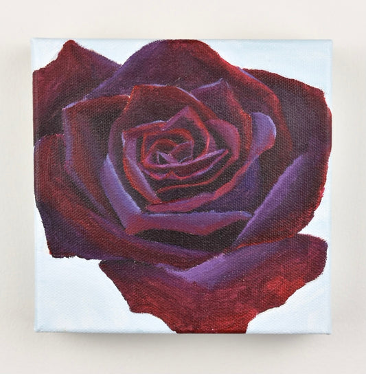 "Cornelia"- 6x6in Original Painting