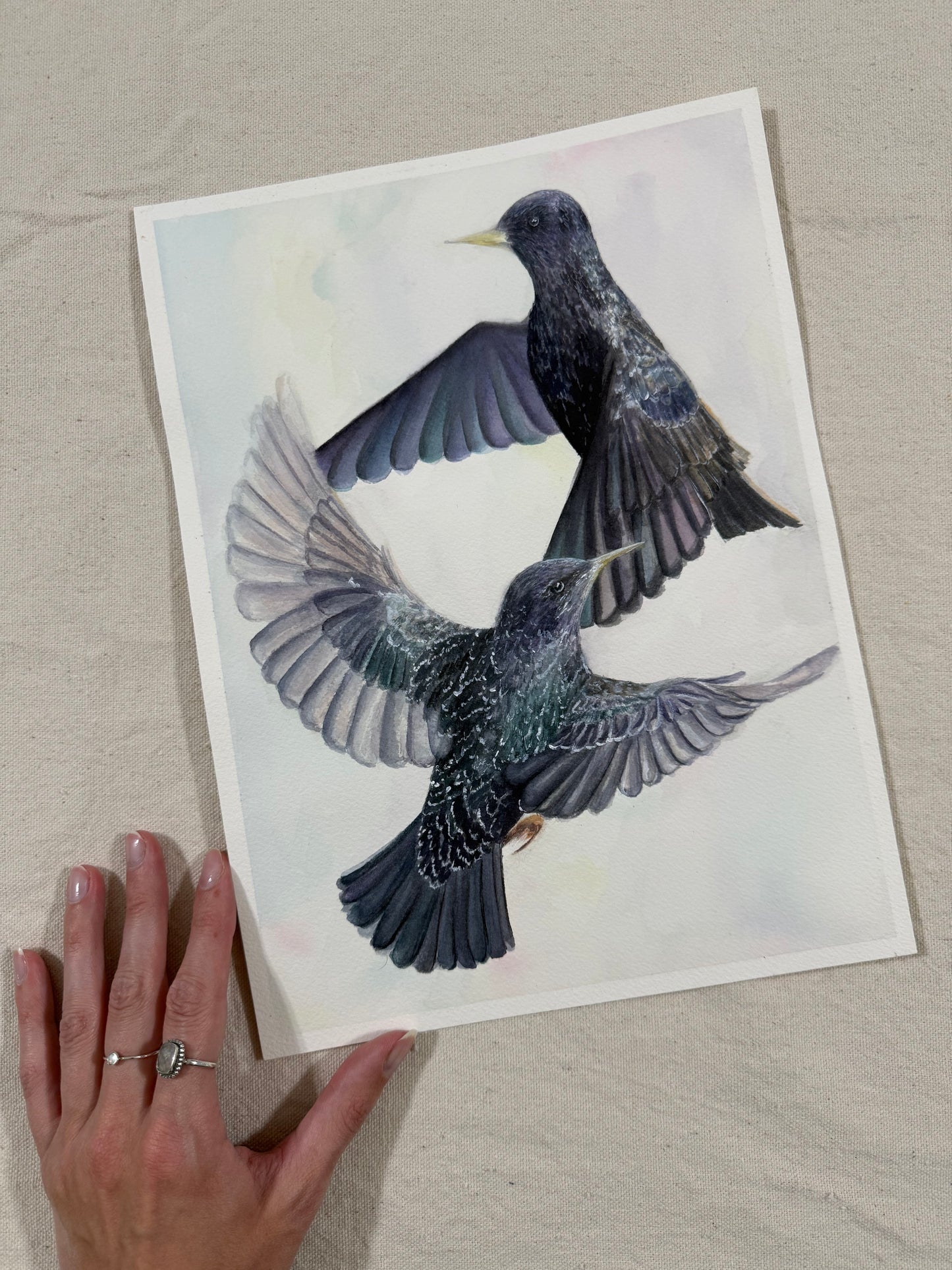 "Ballet of the Birds"