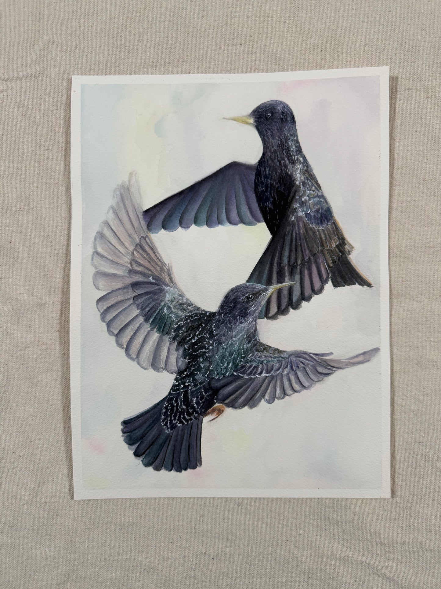 "Ballet of the Birds"