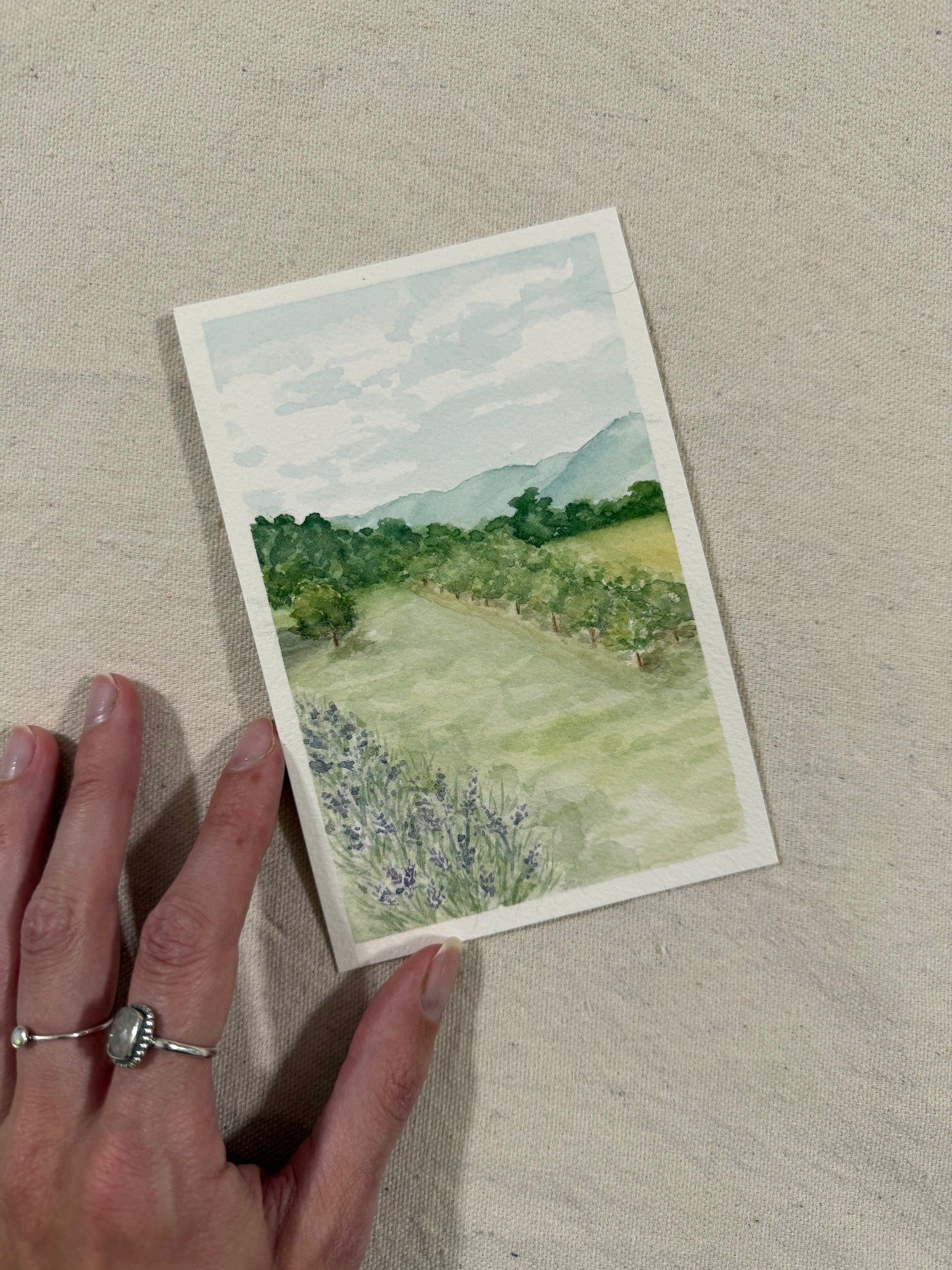 "Lavender at Grandad's"