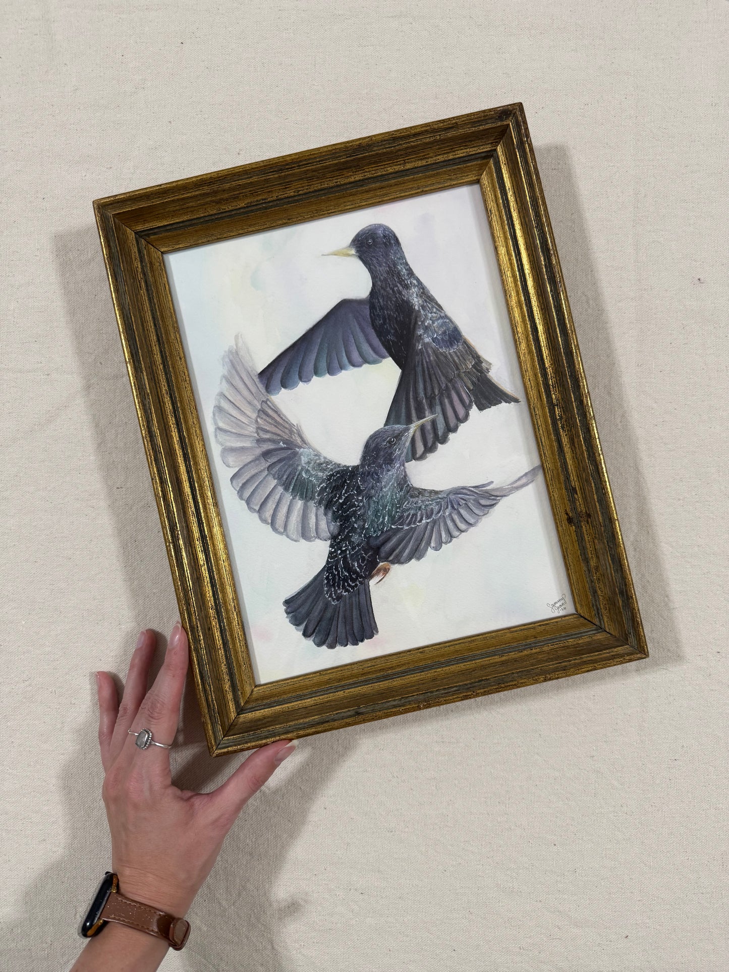 "Ballet of the Birds"