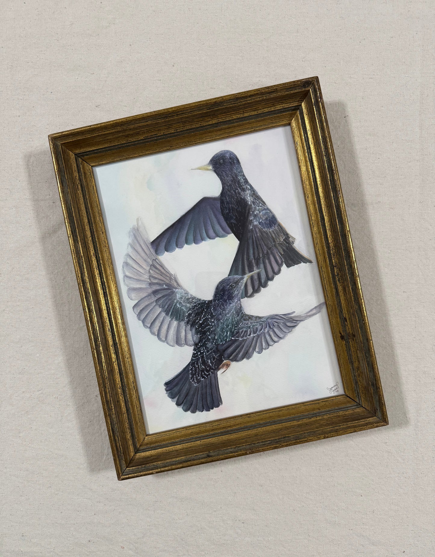 "Ballet of the Birds"