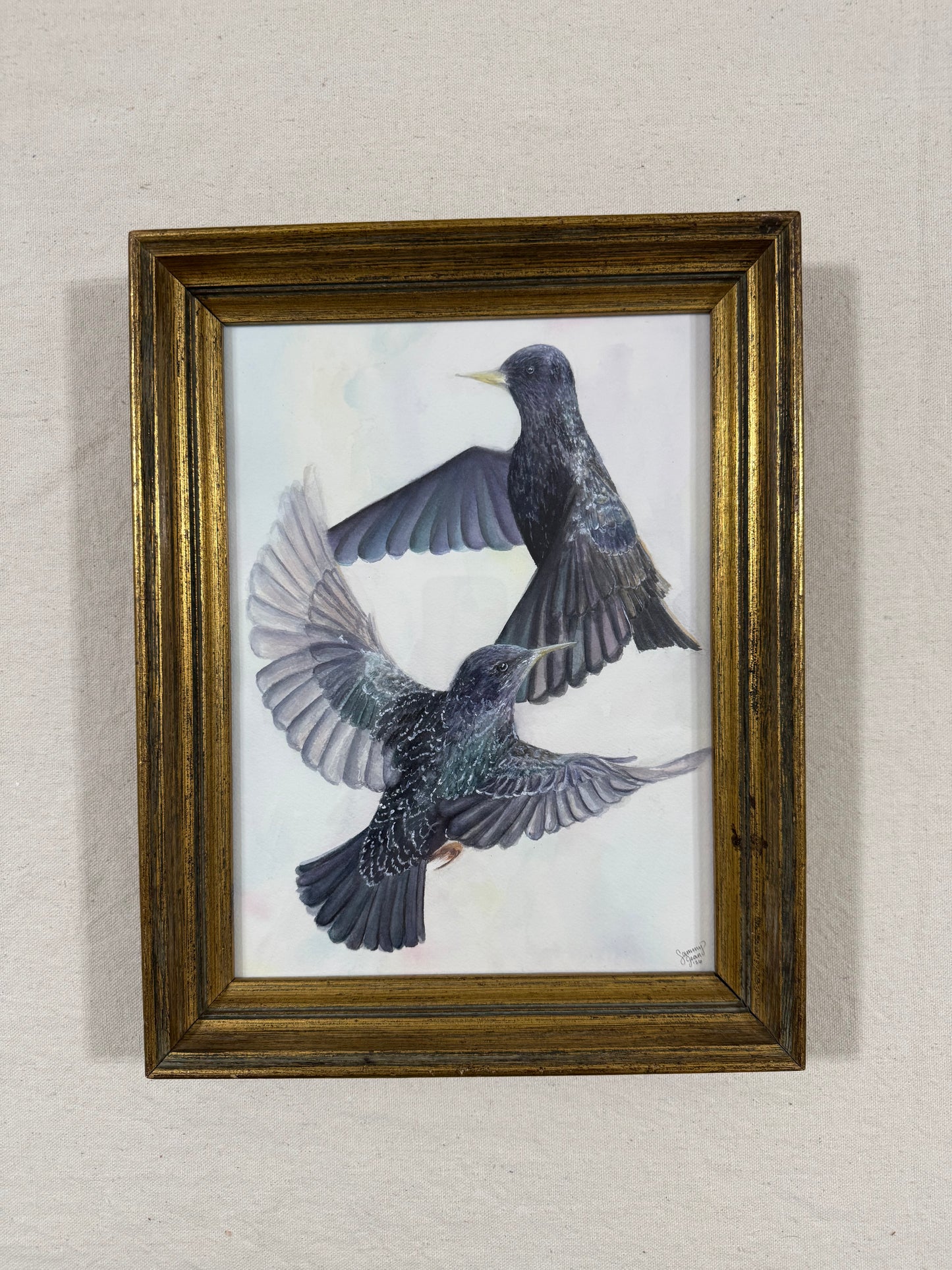 "Ballet of the Birds"