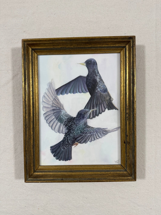 "Ballet of the Birds"
