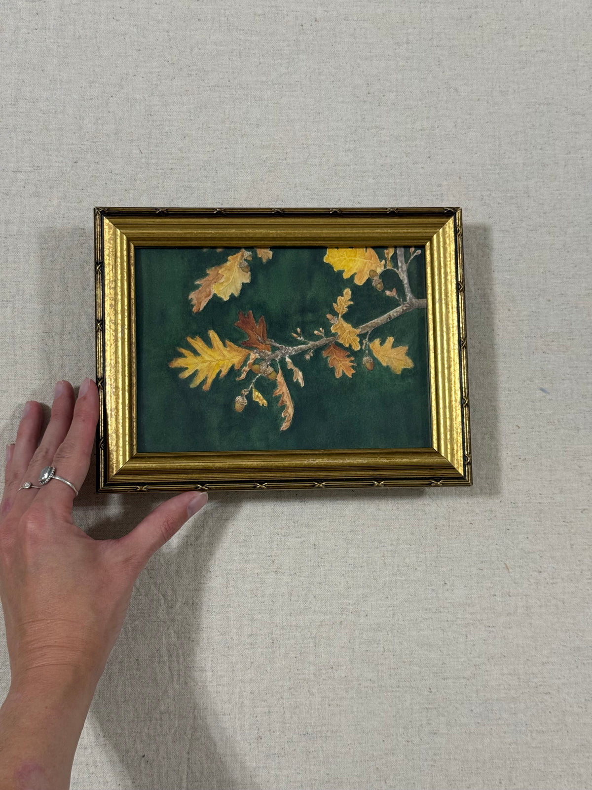 "Ochre Oak"