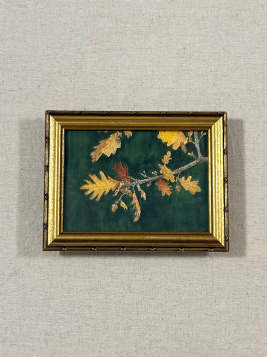"Ochre Oak"