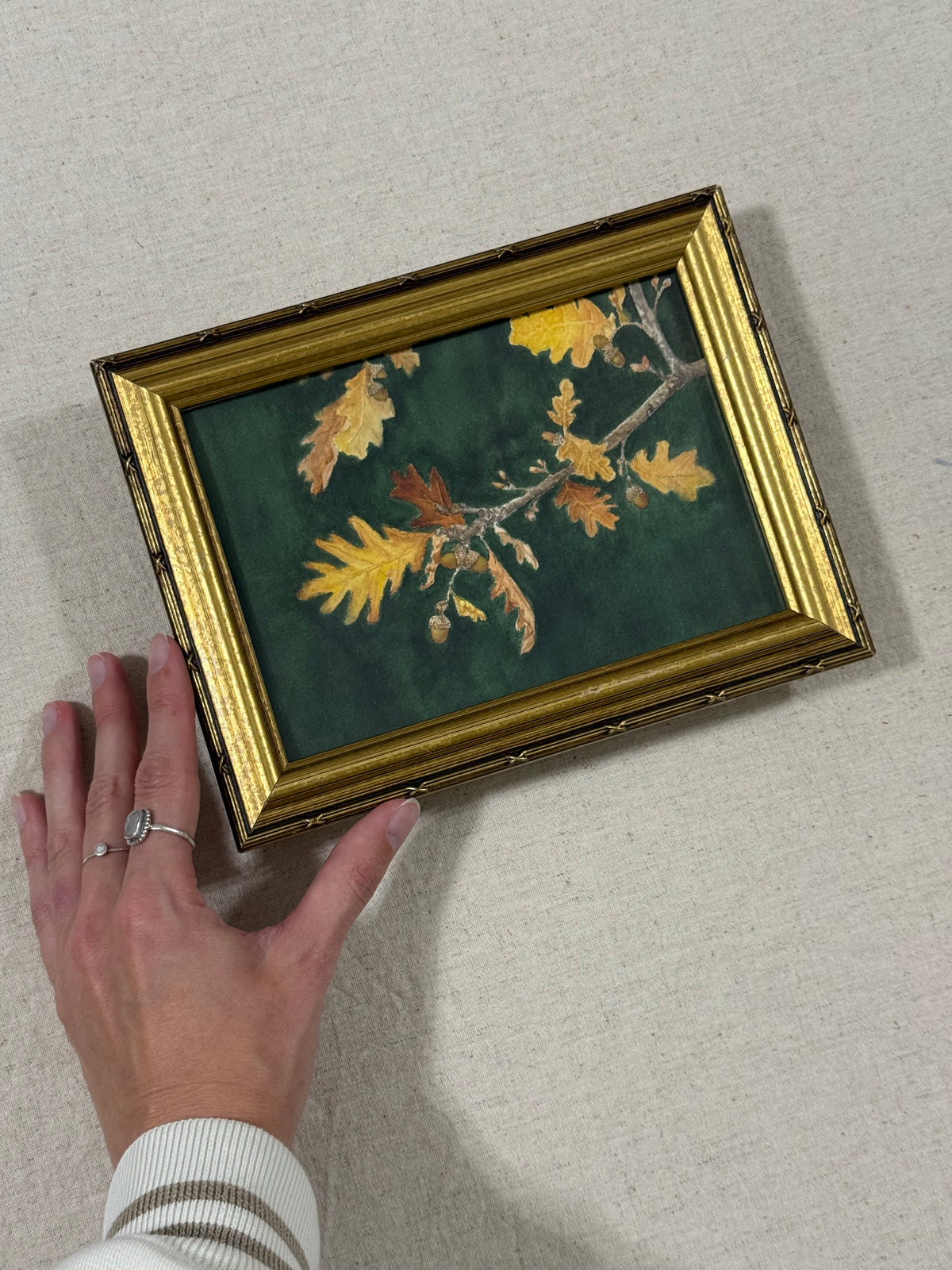 "Ochre Oak"