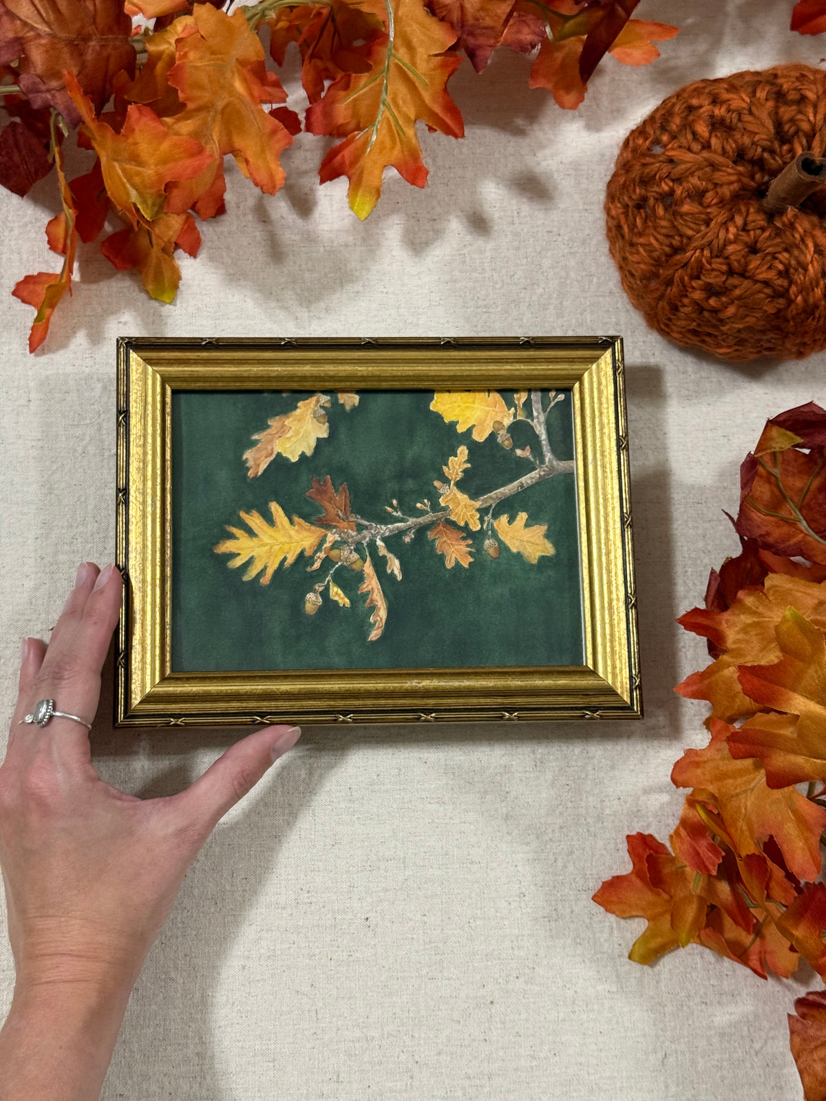 "Ochre Oak"
