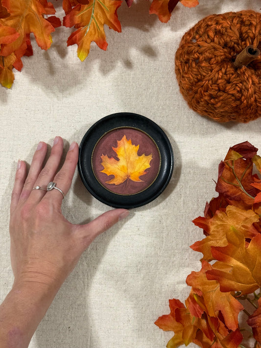 "Maple"