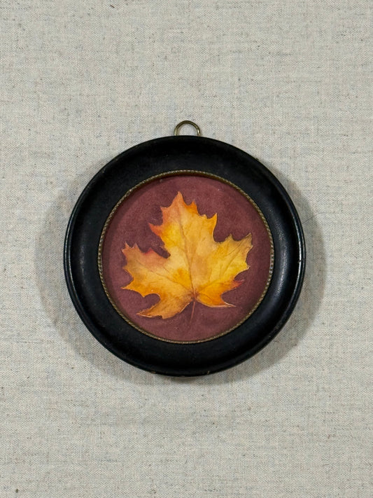 "Maple"