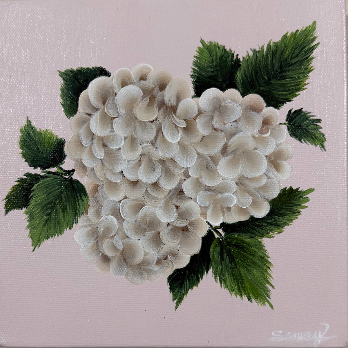 A square canvas painting featuring a cluster of white hydrangea flowers with green leaves on a soft pink background, displayed against a neutral textured beige wall.