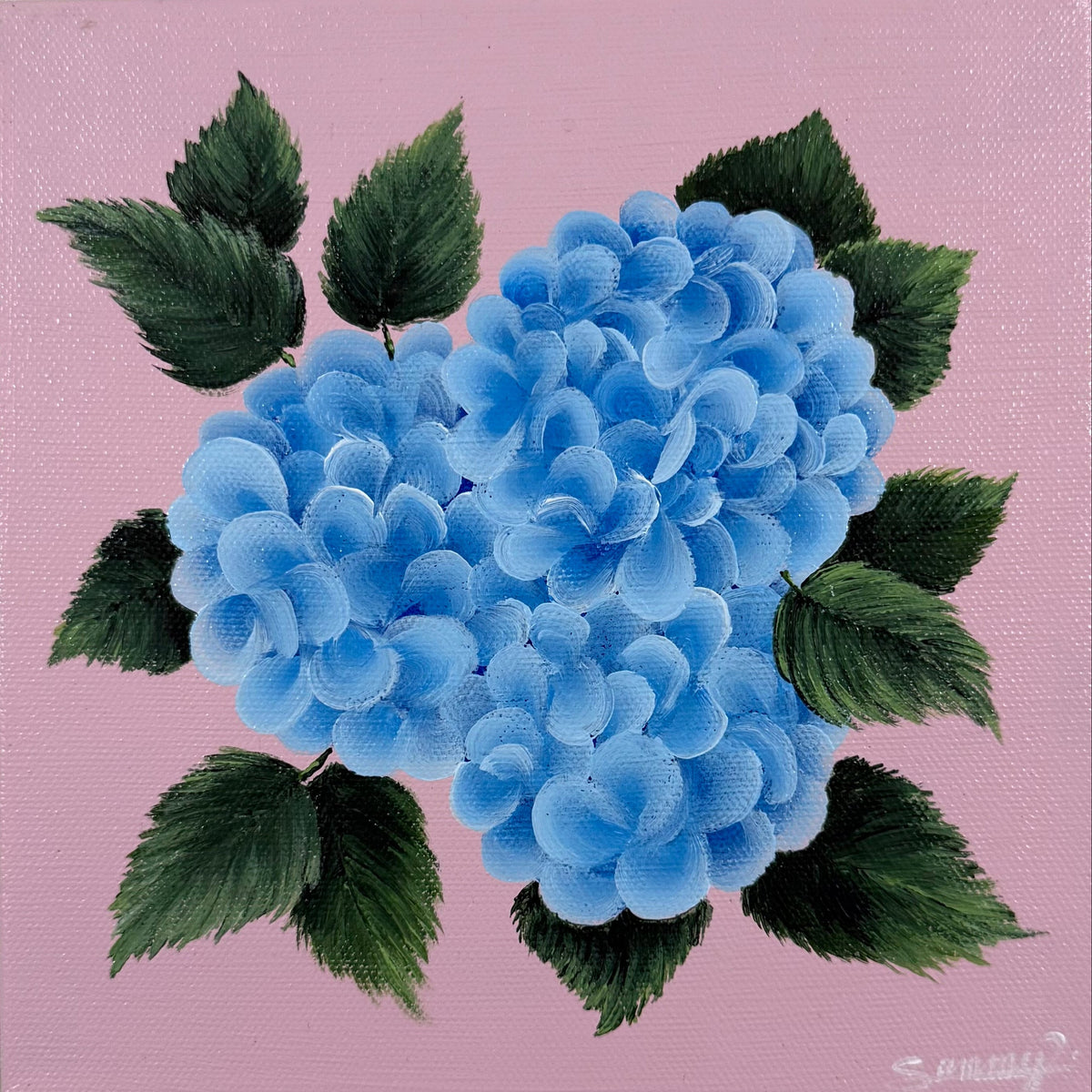 A square canvas painting featuring two blue hydrangea blooms with dark green leaves on a light pink background, mounted on a textured beige wall.