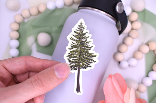 Evergreen Sticker, 3x1.37in